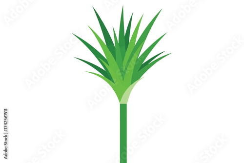Illustration of a sugar cane plant, featuring its stalk and vibrant green leaves