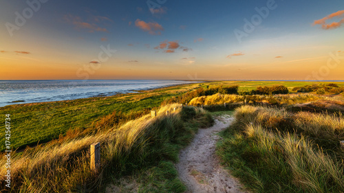 Sommer auf Sylt am Morsumer Kliff