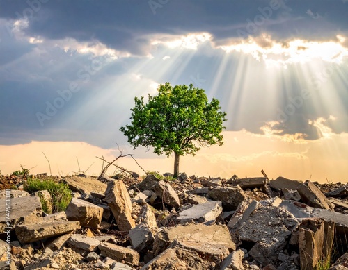 Resilience and Renewal: A lone tree, a beacon of life and resilience, stands defiantly amidst a scene of destruction, bathed in the radiant embrace of sun rays piercing through a stormy sky.