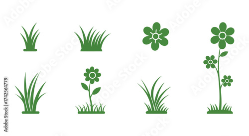 Illustrative green plant growth stages from grass to flowering plants