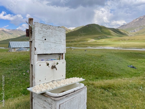 Kurut - a hard, salty, and tangy ball of dried, fermented dairy - laid on plate to be sun-dried. Kel Suu, Kyrgyzstan.
