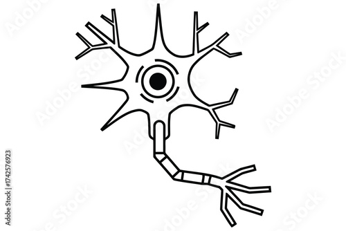 Vector art of neuron cell body with dendrites and axon vector line art illustration