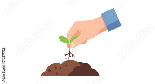 A hand carefully placing a young plant into fertile soil
