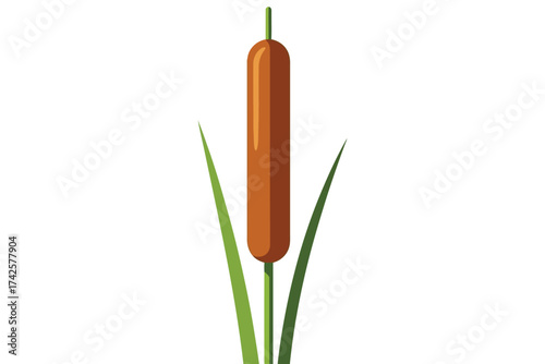 Vector art of cattail plant with brown head and green leaves nature concept art
