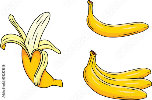 Illustration of peeled and unpeeled ripe yellow bananas.