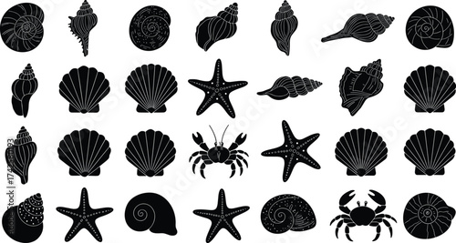 Sea shell and crab silhouettes collection, marine life vector illustration, ocean creatures design, beach decorative elements, underwater nature artwork, coastal summer theme