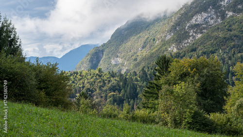 Green alpine slopes and forested valley under clouds in Illegio, Friuli Venezia Giulia, Italy. A peaceful landscape of early autumn light.
