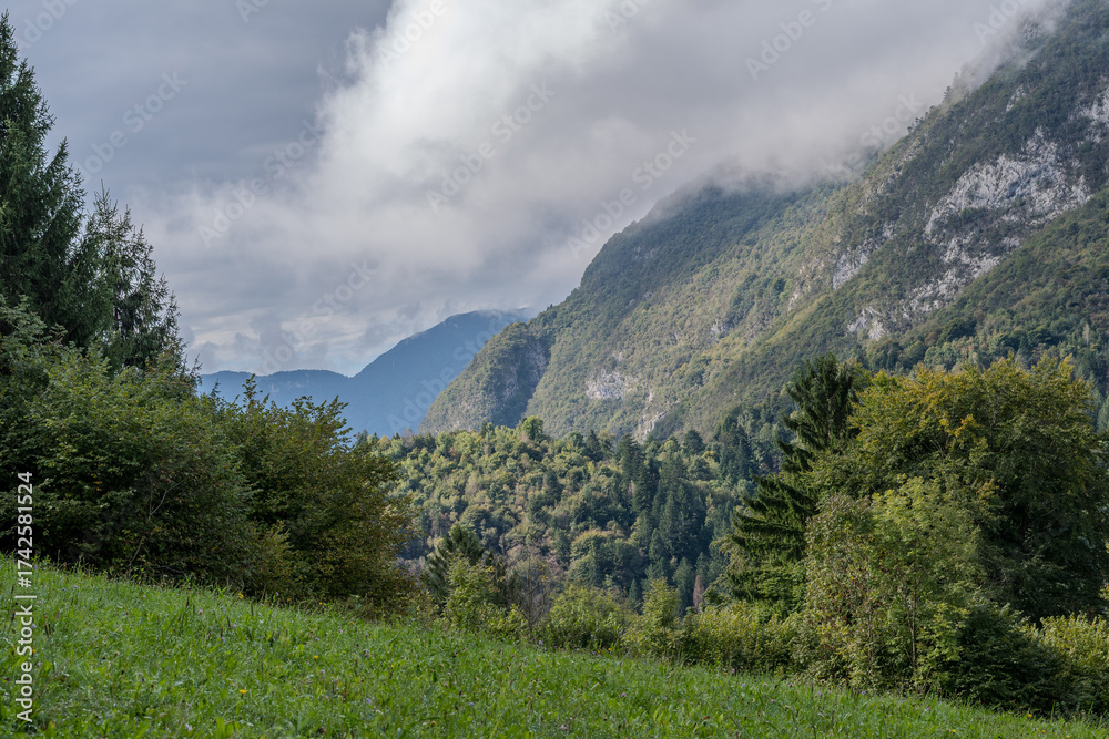Fototapeta premium Green alpine slopes and forested valley under clouds in Illegio, Friuli Venezia Giulia, Italy. A peaceful landscape of early autumn light.