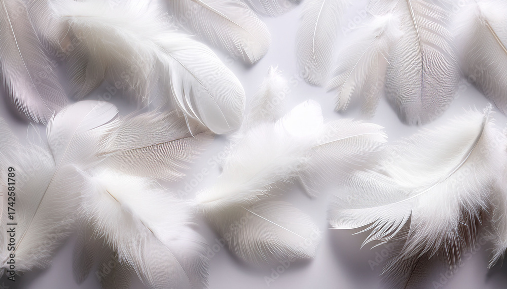 Obraz premium Soft Feathers Scattered On White Background Create A Tranquil Atmosphere Delicate Feathers Symbolize Lightness And Freedom Enhancing Natural Beauty In Decor Or Design