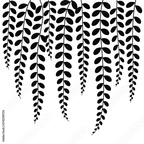 Elegant black botanical illustration of hanging wisteria branches vector art scalable eps vector