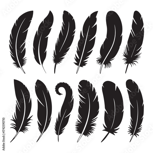 collection of twelve feather silhouettes vector clipart boho tribal plumes