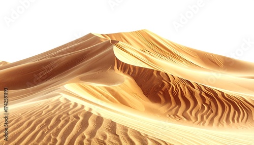 Golden desert dune landscape