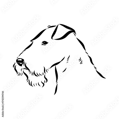 welsh terrier, dog breed, vector sketch