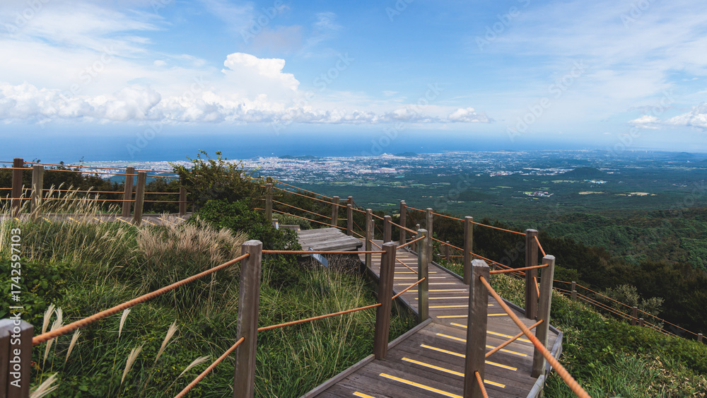 Fototapeta premium Hallasan National Park, Jeju island, South Korea, vibrant view of trail with a wooden ladder path stairs, trekking and climbing, stairway to Halla mountain summit, hiking in Korea, Jeju-do, sunny day