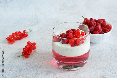 Raspberry and Red currant Dessert in a Glass with jelly and cream cheese