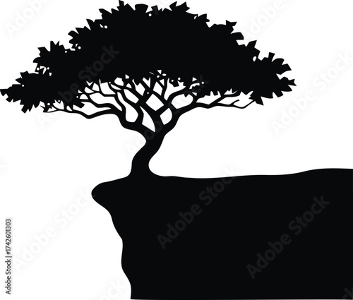 Tableau sur toile Lone tree silhouette on cliff edge dramatic circular sunset dramatic nature land