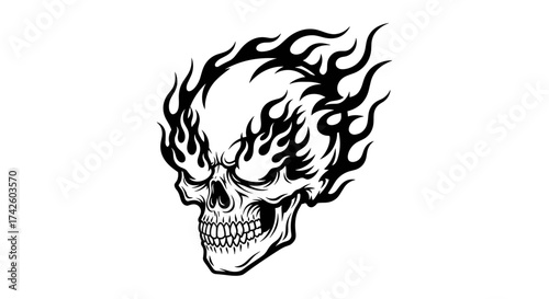 Skull Skullhead Firecrest Illustration for Tattoo Designs and Heavy Metal Artwork