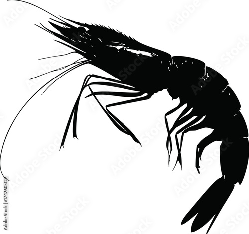 Shrimp silhouette vector, detailed black line art of marine crustacean isolated on white — stock vector