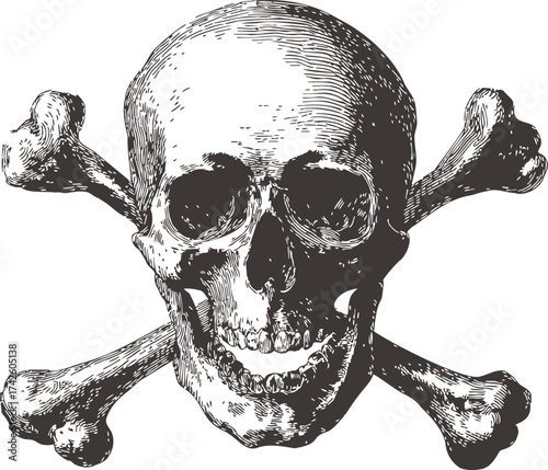 Skull and crossbones vector, hand drawn engraving style, classic pirate hazard symbol — stock vector