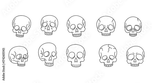 Skull Sketch Row