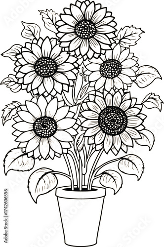 Line art drawing of a potted sunflower bouquet with detailed petals and leaves
