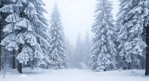 A serene winter wonderland scene with snow-covered fir trees in a misty, cold forest