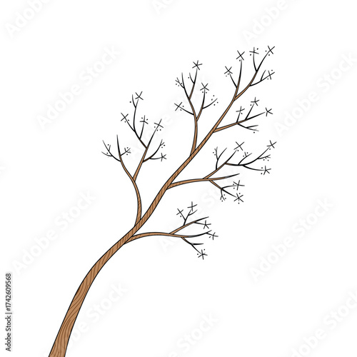 A bare tree branch with delicate twigs and buds reaching outwards in an artistic composition.