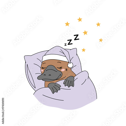 A cute platypus wearing a sleeping cap peacefully slumbers under the gentle glow of a starry sky.