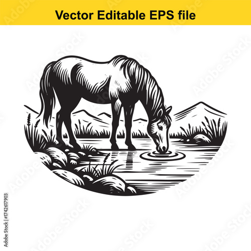 Vector art of horse drinking water from a stream in a landscape, vector art