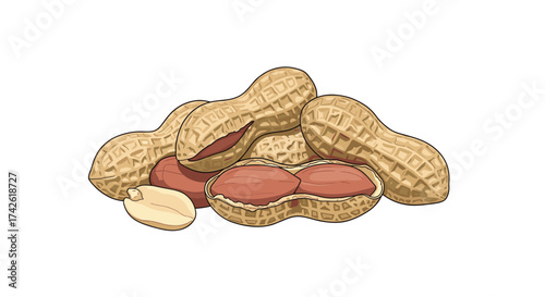 A pile of peanuts in their shells with some opened revealing the nuts inside.