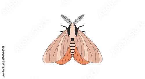 An illustration of a moth with delicate wings and fuzzy antennae.