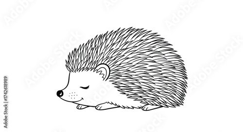 A sleeping hedgehog with closed eyes and a gentle smile.