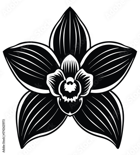 Elegant Daylily Flower Outline A Blooming Vector Graphic with Broad Petals and Detailed Center