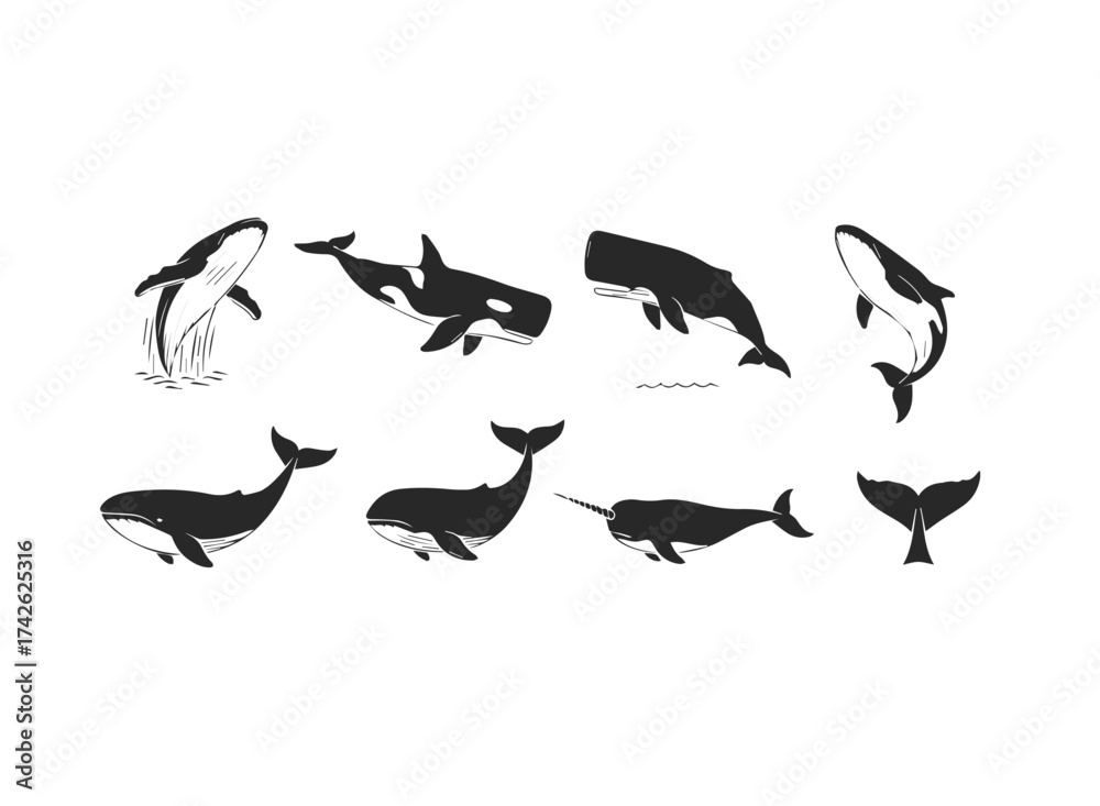 Fototapeta premium Diverse Whale Silhouettes Collection.
