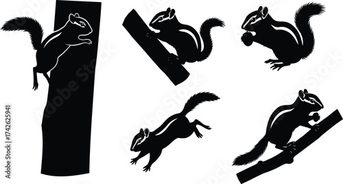 Chipmunk silhouette vector set in dynamic poses, black animal illustration for wildlife design, pet icon, cartoon and educational use