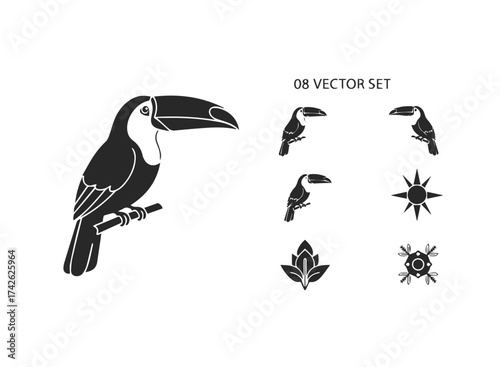 Toucan Bird Vector Set Silhouette Collection.