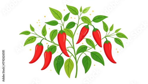 Vibrant illustration of chili peppers on a leafy plant, white background