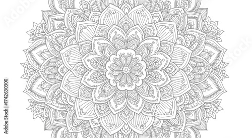 Intricate, symmetrical, floral mandala design with detailed patterns and radiating elements.