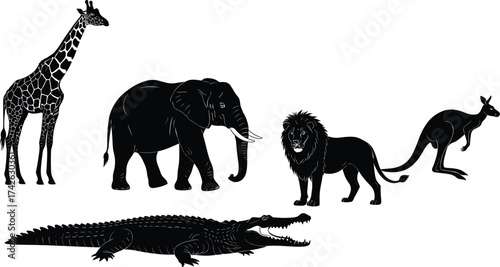 Wild animal silhouette illustration set, global species icons artwork, biodiversity and nature concept for education and wildlife design