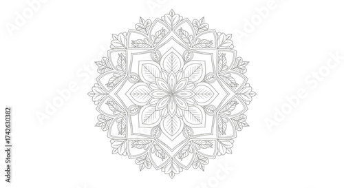 Intricate symmetrical floral design with detailed lines and radiating patterns on white background.