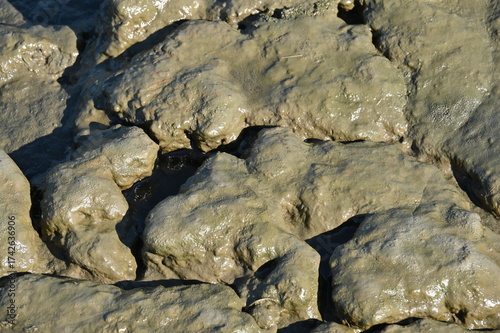 Schlick in norddeutschen Wattenmeer