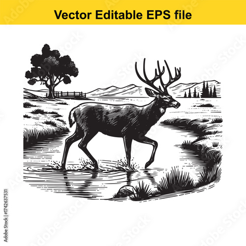 Vector art of deer crossing a shallow stream with a tree in the background