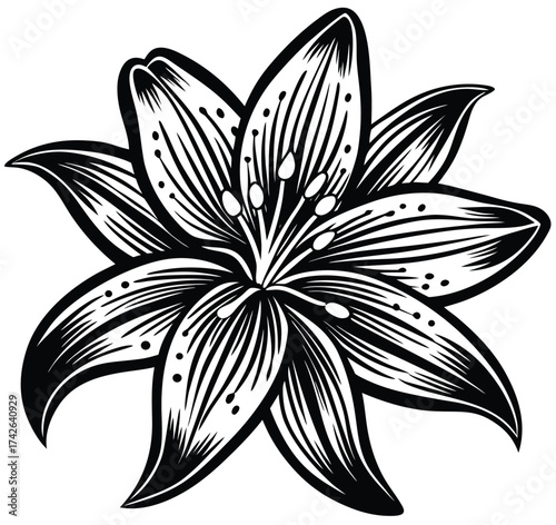 Tableau sur toile Black and white lily flower vector illustration pattern design for vintage tatto