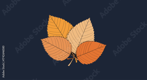 A gentle scattering of autumn leaves against a dark background.