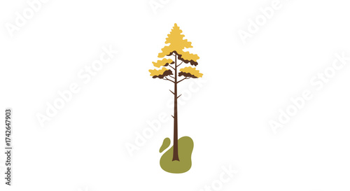 A tall evergreen tree with yellowing needles stands on a patch of green grass.