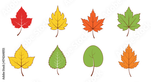 A collection of various autumn leaf illustrations in different colors and shapes.