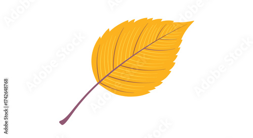 A single golden leaf falls from a tree in autumn.