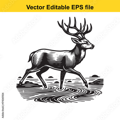 Vector art of black and white illustration of a deer walking in water