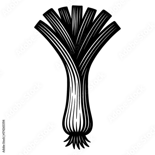 A black and white drawing of a stalk of celery. The celery is cut off at the top and has a long, thin stem. Vector. Silhouette illustration.