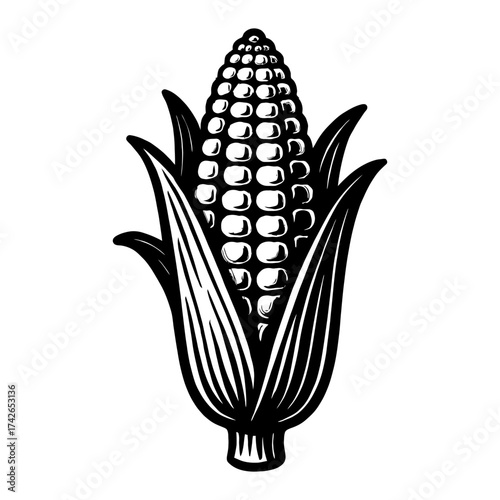 A black and white drawing of a corn stalk. The stalk is tall and has a green leaf at the top. The corn is small. Vector. Silhouette illustration.